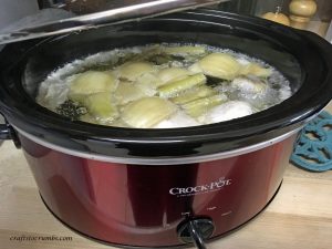 Cfrafts to Crumbs Slow Cooker Chicken Pho