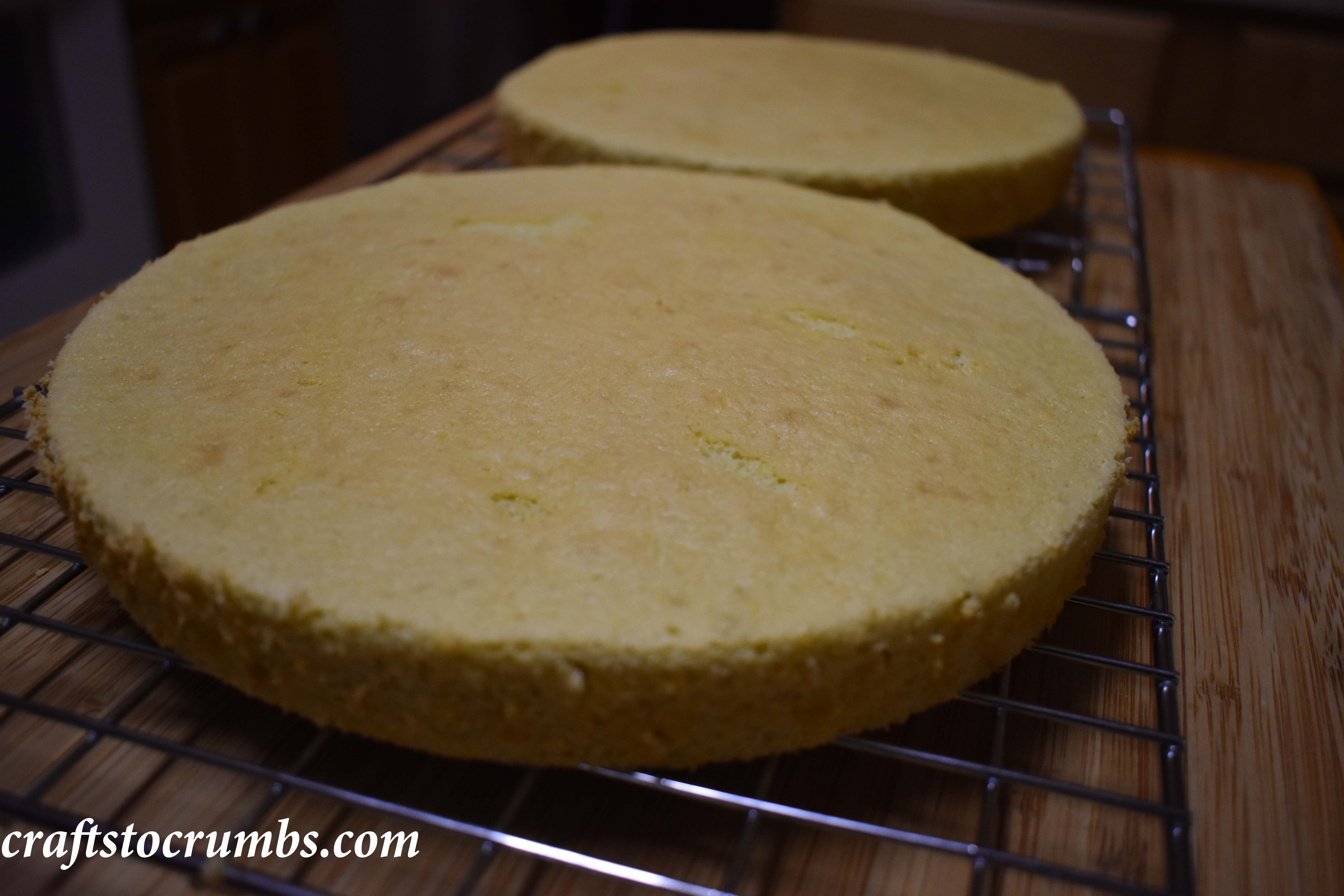 Crafts to Crumbs Chiffon Cake Mango