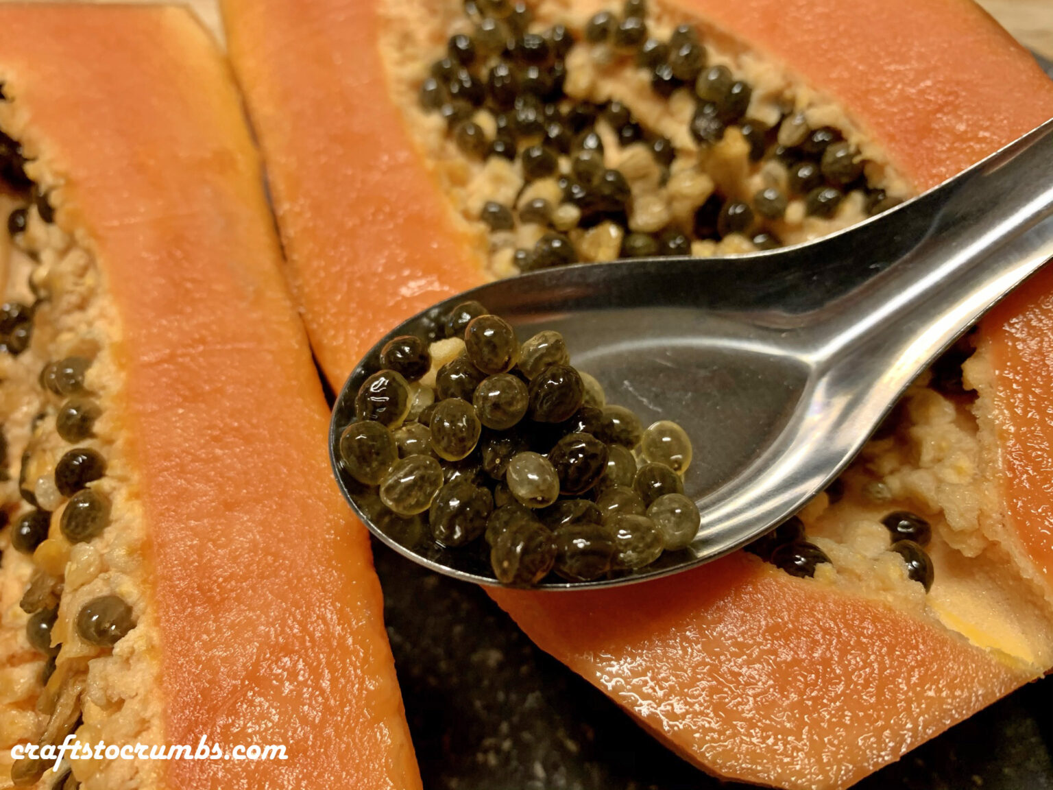 Growing Papayas From Seeds Crafts to Crumbs