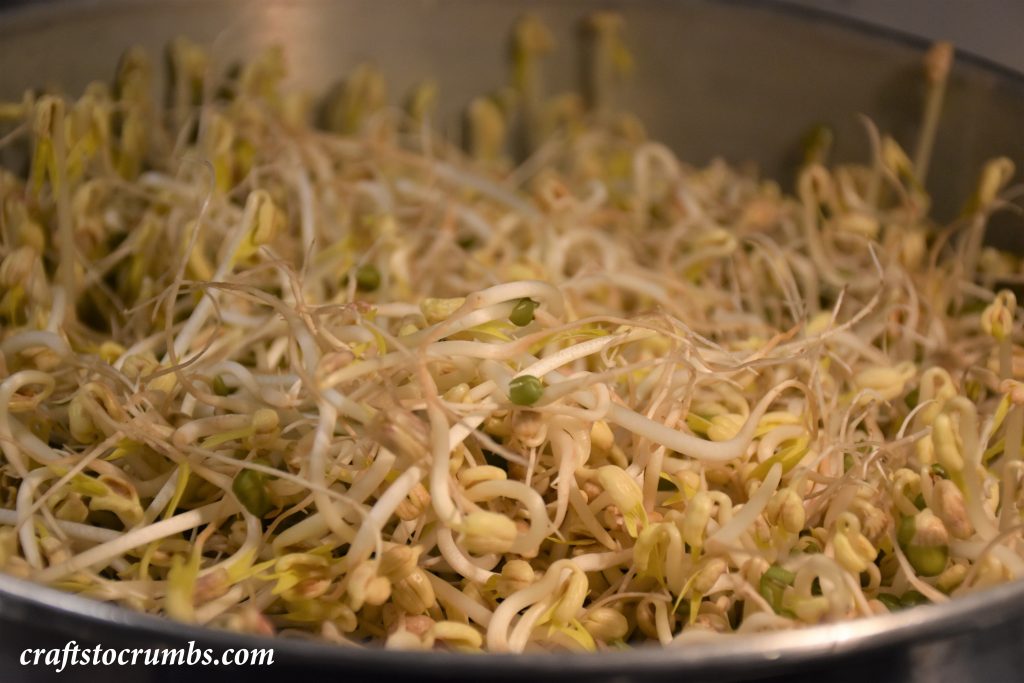 Sprouts Crafts to Crumbs