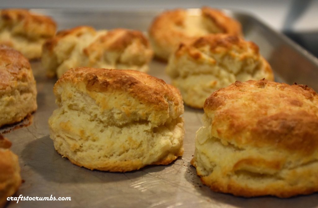 Biscuits Baked Crafts To Crumbs