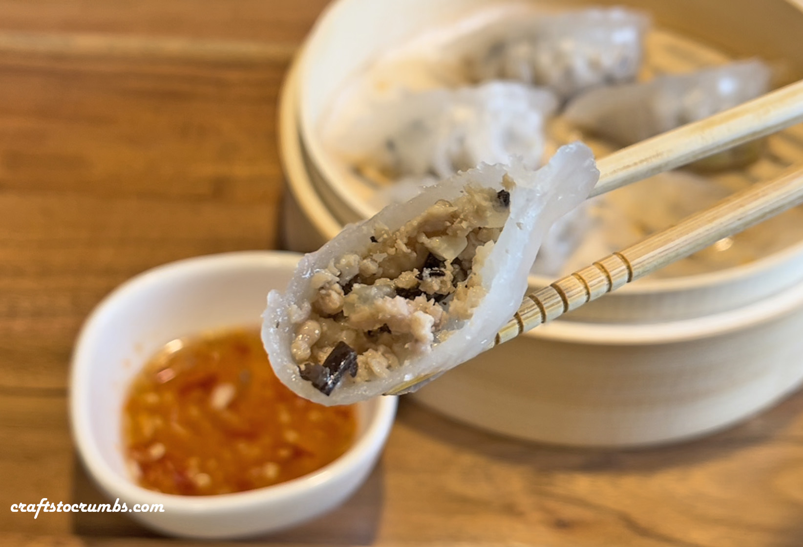 Pork Dumplings – Crafts to Crumbs