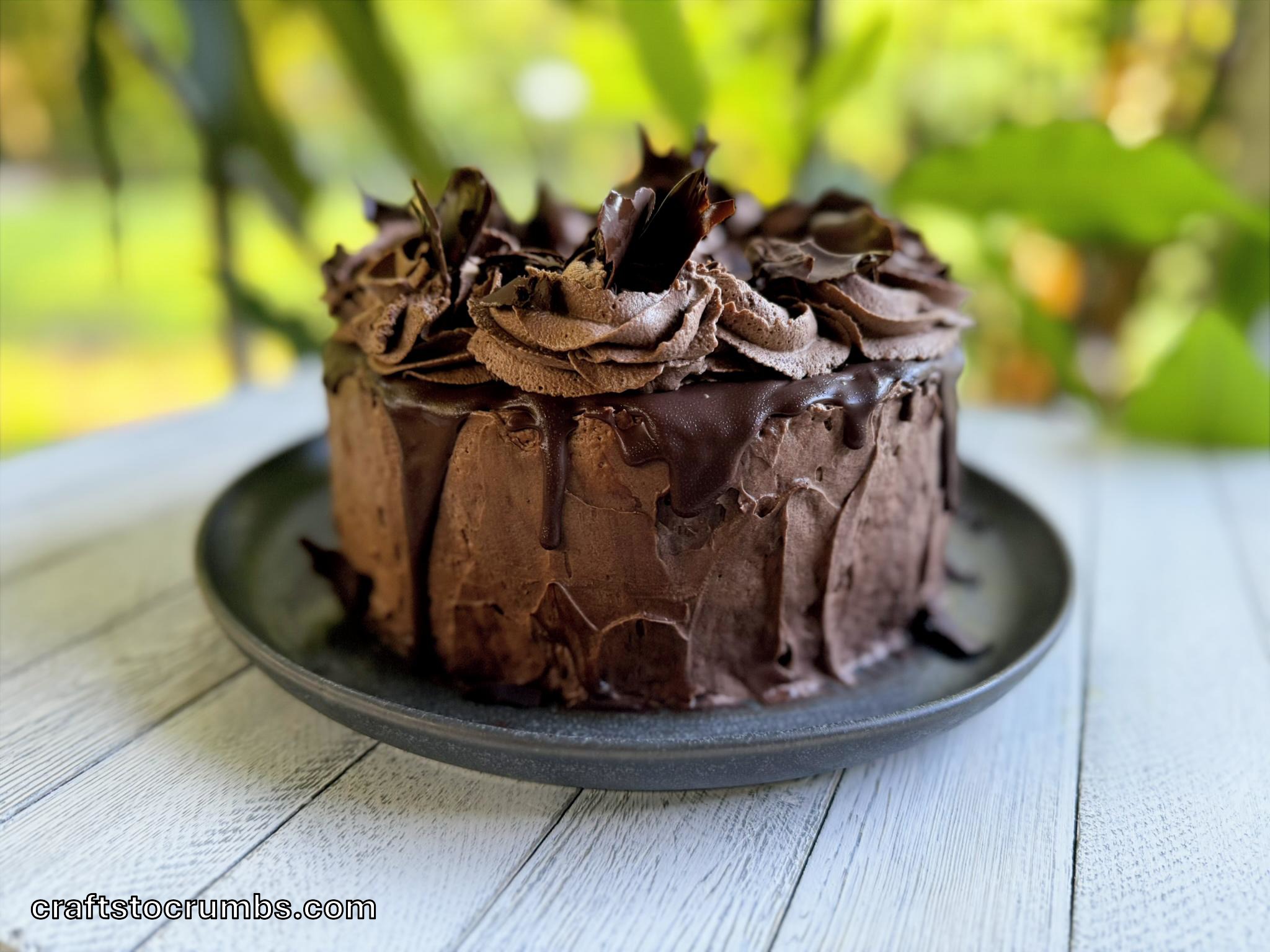Chocolate Celebration Cake – Crafts to Crumbs